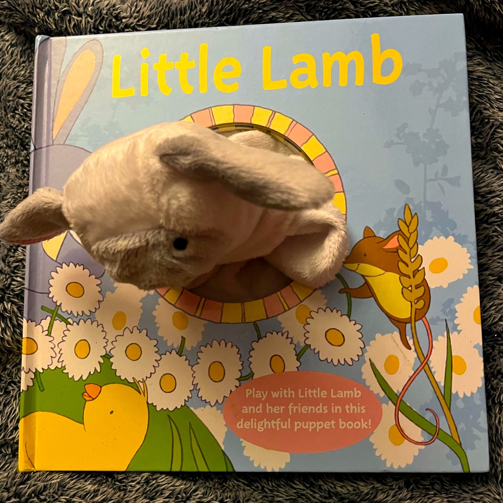 Little Lamb Book